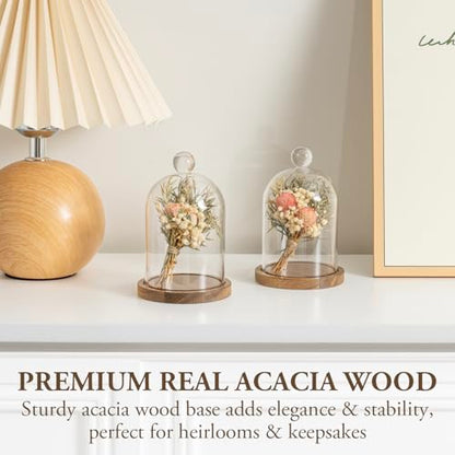 MyGift Mini Clear Glass Bell Display Cloches with Premium Acacia Solid Wood Base, Decorative Dome Cover Stands for Small Heirloom Jewelry Curios Keepsakes, Set of 2