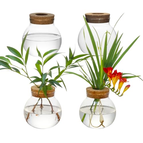 Plant Propagation Station - Glass Terrarium Vase Set of 4 for Hydroponic Plants, Desktop Glass Planter,Centerpiece Office,Door Home Garden Decor,Sizes of About 2 Plants,Office Decor Gift Idea Cu