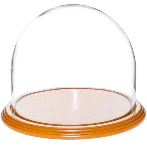 Plymor 8" x 6.5" Glass Display Dome Cloche (Oak Veneer Base) - color: Oak Veneer Base