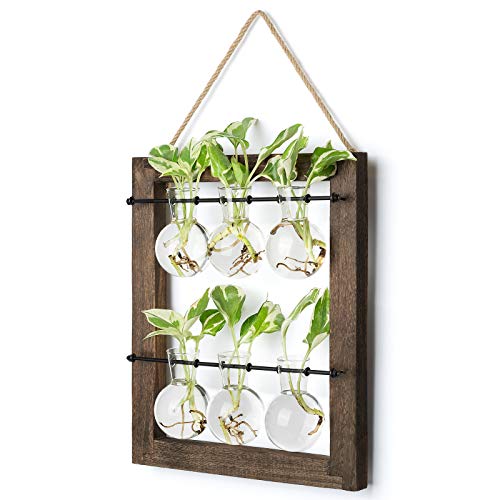 Mkono Plant Propagation Station, Wall Hanging 2-Layer Glass Terrarium Vases