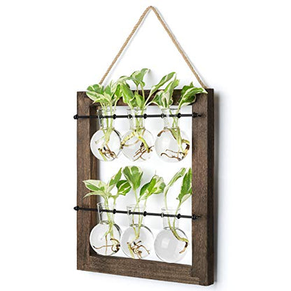 Mkono Plant Propagation Station, Wall Hanging 2-Layer Glass Terrarium Vases