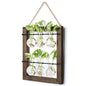 Mkono Plant Propagation Station, Wall Hanging 2-Layer Glass Terrarium Vases