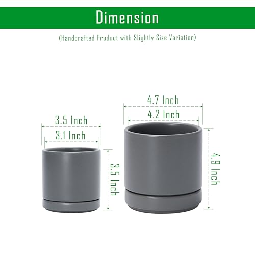 D'vine Dev 2-Pack Ceramic Pots & Saucers, Grey, 3.5/4.7 in, 94-G-XS-3 - color: Gray, size: X-Small