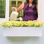 LaLaGreen Outdoor Wall Planters (24in, 2 Pack) Window Flower Box for Plants - size: 24" x 2 Pack
