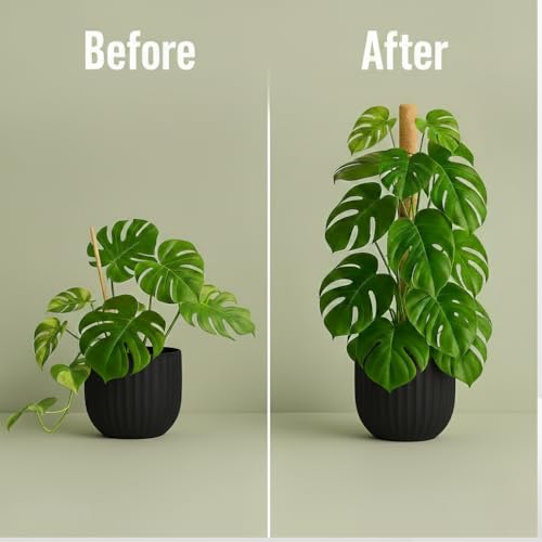 2 Pack 50" Bendable Moss Pole Monstera Plant Support for Climbing Plants - size: 50"