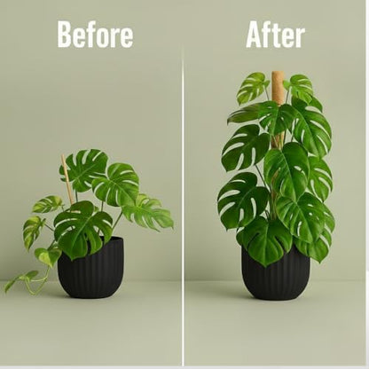 2 Pack 50" Bendable Moss Pole Monstera Plant Support for Climbing Plants - size: 50"