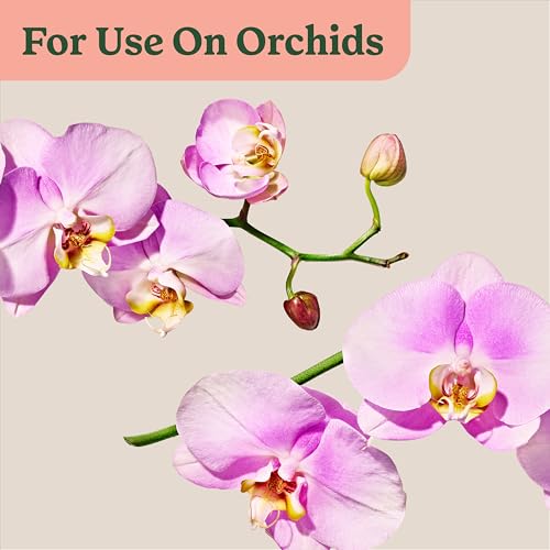Miracle-Gro Indoor Plant Food Mist for Orchids, 8 fl. oz. (2-Pack) - style: Orchid Mist