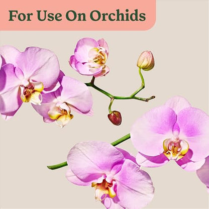 Miracle-Gro Indoor Plant Food Mist for Orchids, 8 fl. oz. (2-Pack) - style: Orchid Mist