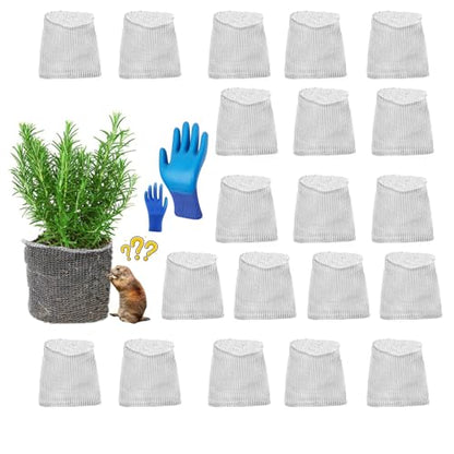 20 Packs Gopher Baskets 1 Gallon Stainless Steel Mesh Protects from Gophers - size: 1 Gallon×20 PCS