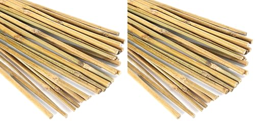 20 Pcs 18 Inch Natural Bamboo Plant Support Stakes for Indoor Plants, Bamboo Sticks Poles Garden Bamboo Stakes for Potted Plants, Tomato, Beans (Pack of 2) - size: 20 Pcs Stakes (Pack of 2)