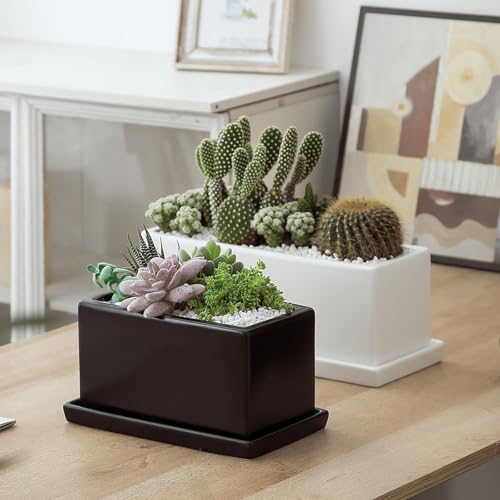 12 Inch Rectangular Ceramic Plant Pot, Window Box, Glazed White - color: White, size: 12 Inch