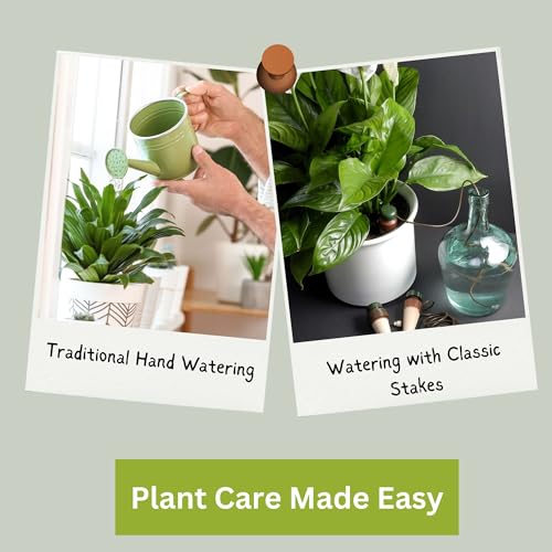 Blumat Classic Self-Watering Stakes - Prevents Overwatering and Underwatering for Healthy Growth While You are Away - Ideal for Indoor Plant Watering, 15 Pack, wo Adapter - size: 15 Pack without Adapter