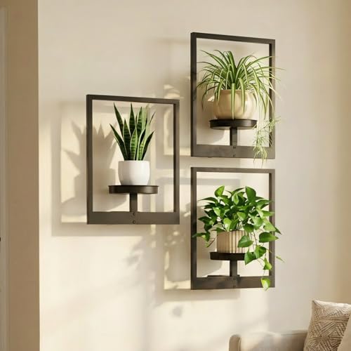 Picture Frame Wall Planters Set of 3, Modern Metal Hanging Shelves for Plants, Rustproof Wall Mount Flower Pot Holder for Indoor Outdoor, Decorative Plant Stand for Living Room Patio, Black - color: Black 3-Pack