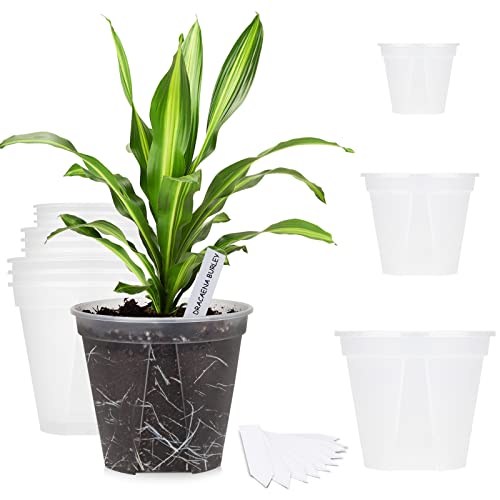 GREENPARA 12 Pack Clear Nursery Pots 4/5/6 Inch Planter with Drainage Holes