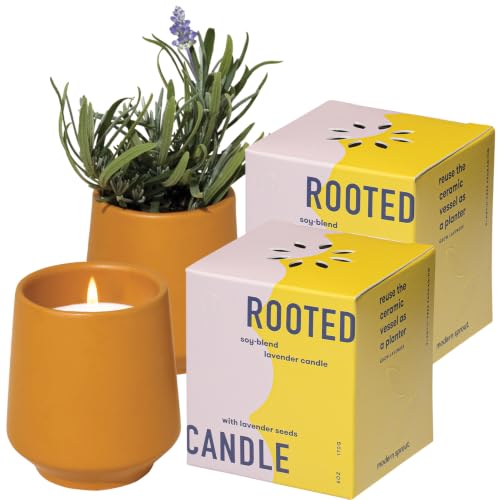 Modern Sprout Soy Candle Planter - Grows Lavender -Cedarwood Scent - 2-Pack - size: Pack of 2