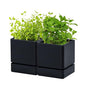 D'vine Dev 2-Pack Plastic Herb Planter Pots, 4 in, Black, 76-Y-B2-1 - color: Black, size: 8 Inch x 4.5 Inch