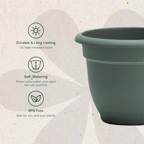 Bloem Ariana 6" Plastic Self-Watering Planter, Basil, 4-Pack - color: Basil, size: 6" (Pack of 4)