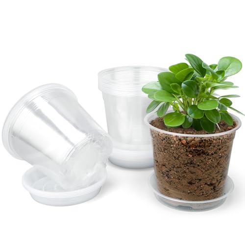 4 Inch Clear Nursery Pots with Drainage Trays, 15 Pack Plastic Pots for Plants, Clear Pot for Seed Starting, Transplanting, Succulents, and Indoor Gardening (4 inch) - size: 4 inch