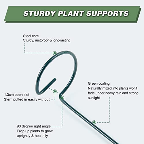 20 Pack 36 Inch Plant Support Stakes for Outdoor Plants and Indoor Flowers - size: 36 Inch