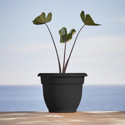 Bloem Ariana 16" Plastic Self-Watering Planter, Black, 2-Pack - color: Black, size: 16" (Pack of 2)