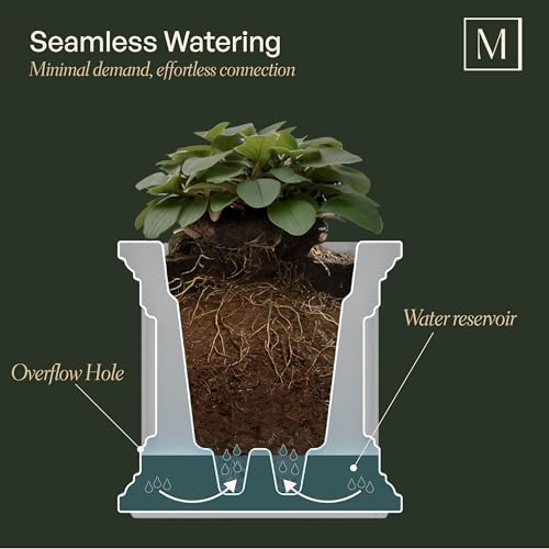 Mayne Nantucket 20in Self-Watering Square Planter, Espresso - color: Espresso