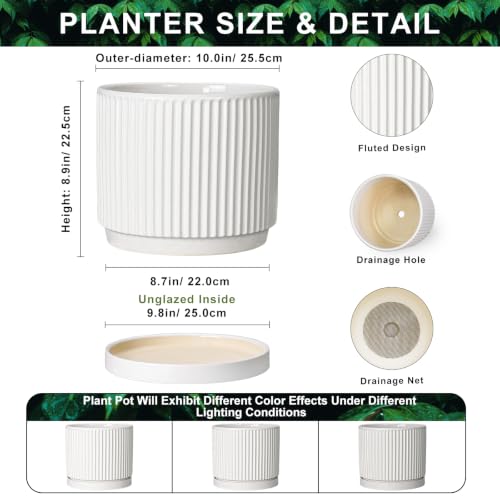 10 Inch Plant Pot, Ceramic Planters, Round Flower Pots, White - color: White, size: 10 Inch