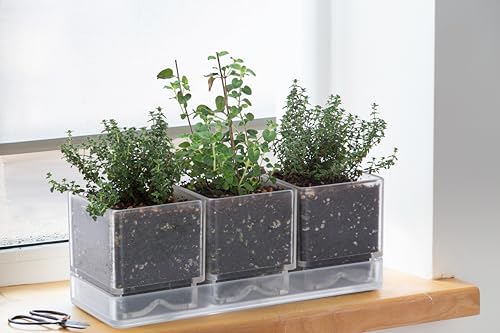 D'vine Dev 2-Pack Acrylic Herb Garden Planter Set, Clear, 76-V-D-2 - color: Clear, size: 24"
