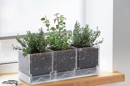D'vine Dev 2-Pack Acrylic Herb Garden Planter Set, Clear, 76-V-D-2 - color: Clear, size: 24"
