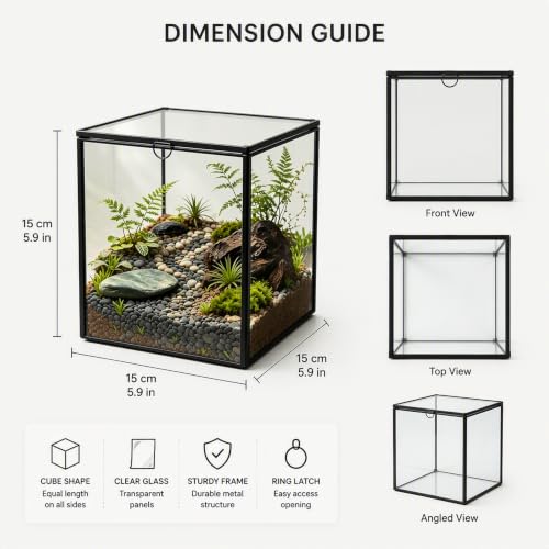 Ferrisland Glass Geometric Plant Terrarium, Clear Glass Succulent - size: 6.89" L x 6.89" W x 6.89" H