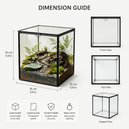 Ferrisland Glass Geometric Plant Terrarium, Clear Glass Succulent - size: 6.89" L x 6.89" W x 6.89" H