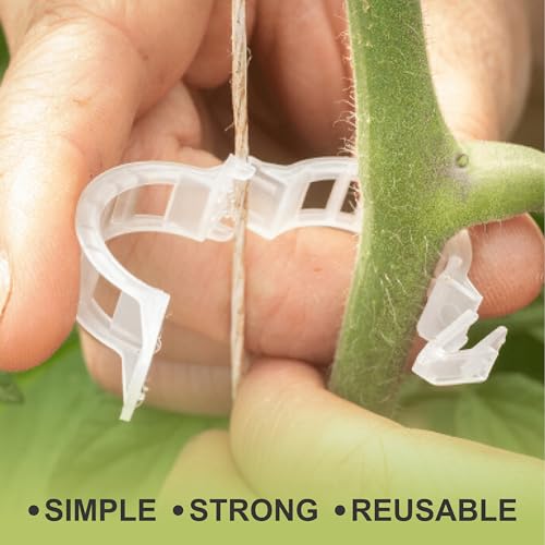 75 Pcs Bendable Moss Pole Monstera Plant Support Clips - Moss Poles for Climbing Plants, Plant Stakes for Indoor Plants - Coco Coir Pole Moss Stick for Monstera, Pothos. - size: 75 x Plant Clips