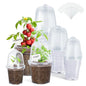 homenote 3/4/5 Inch Clear Nursery Pots with Domes for Propagation (15 Pcs) - color: Transparency-with Lid, size: 3/4/5 Inch-15 Pack