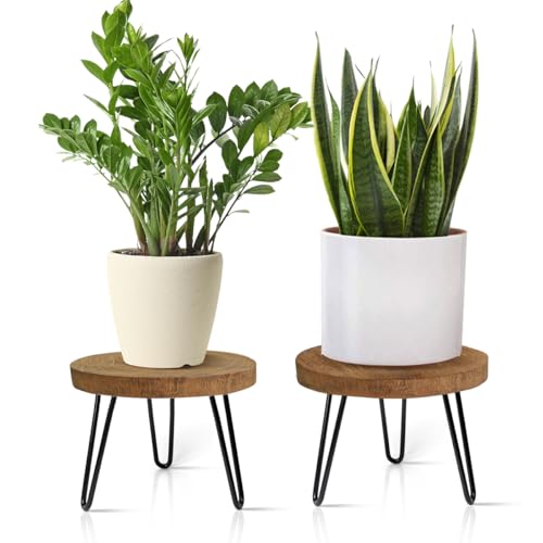 OBTAIN Plant Stand Indoor Outdoor, Wooden plant Stool, Mid Century Plant Stand for Indoor Plants, Wood Modern Plant Holder Rattan Flower, Low Short Boho Rustic Planter Stand Fit 5-15 Inch Pot(M, L) - size: Medium & Large (2-Pack)