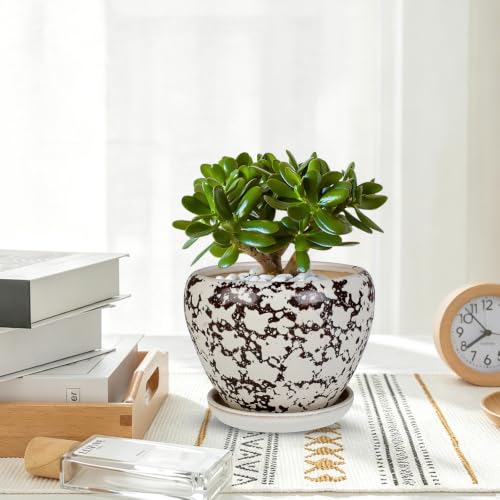 Ceramic Plant Pots With Saucer & Drainage Hole, 10 inch Indoor Flower Pots - color: White, size: 10 inch