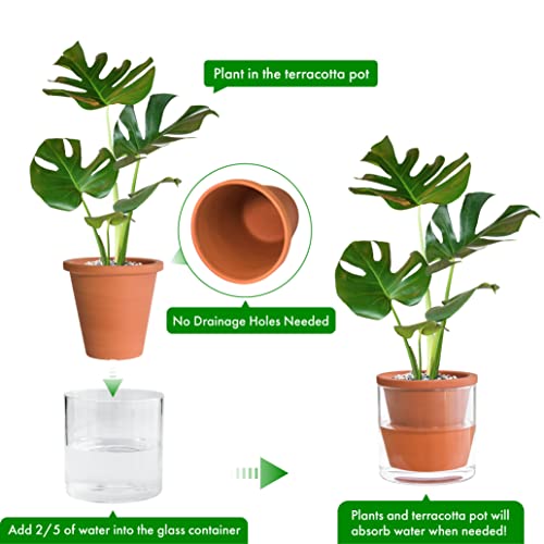 D'vine Dev Self Watering Terracotta Planter Pot, 6 in, 2-Pack, 37-Y-B-1 - color: Terracotta, size: 6 Inch