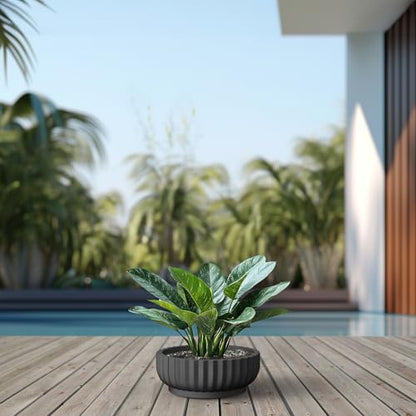 Kante Small Round Shallow Black Concrete Planter 14.6" Dia, Outdoor - color: Black, size: 14.6"w x 5.5"h