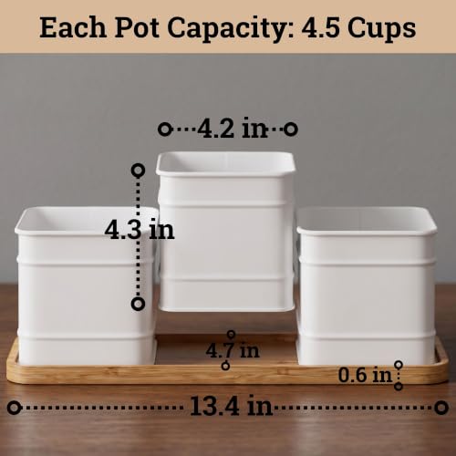 Herb Planter Indoor, 3-pc Herb Pots w/ Drainage Holes, Bamboo Tray & Labels - color: White