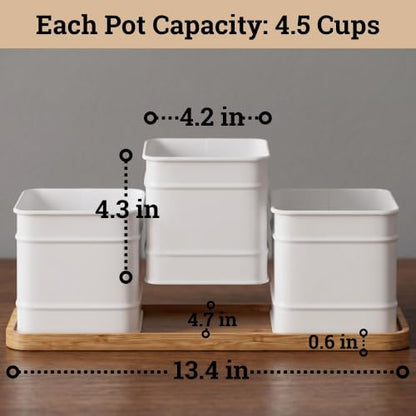 Herb Planter Indoor, 3-pc Herb Pots w/ Drainage Holes, Bamboo Tray & Labels - color: White