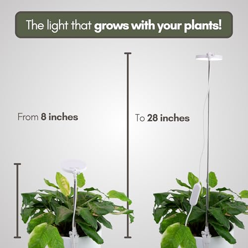 Mossify Clip-On LED Grow Light, Full Spectrum, Black - color: Black