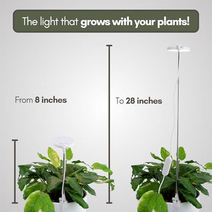 Mossify Clip-On LED Grow Light, Full Spectrum, Black - color: Black