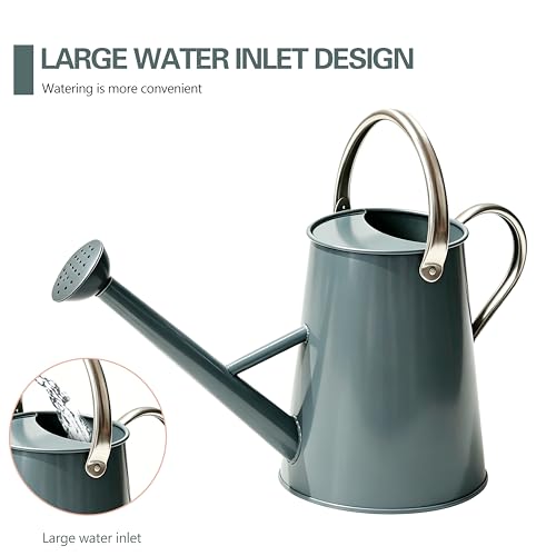 1.5 Gallon Metal Watering Can for Outdoor Plants, Large Watering Can, Gray - color: Gray