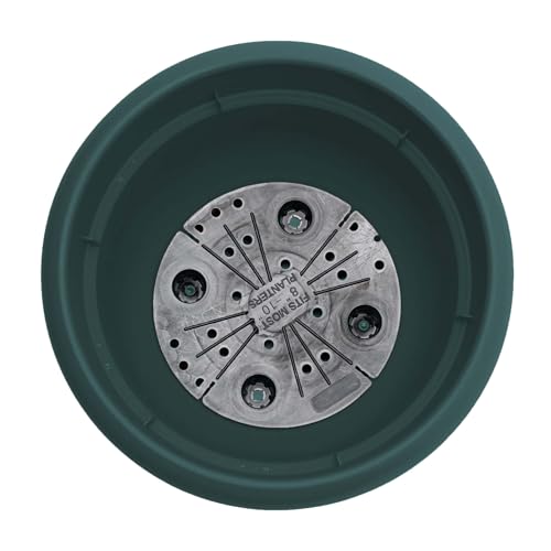Bloem Ariana 20" Plastic Self-Watering Planter, Charleston Green, 2-Pack - color: Charleston, size: 20" (Pack of 2)