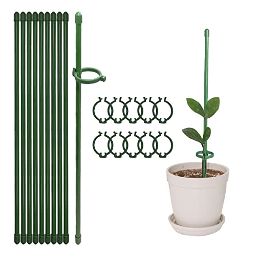12 Inch Plant Support Stakes, with Adjustable Retaining Ring Green Plant Sticks Support Stakes for Indoor and Outdoor Plants,Flowers,Climbing(10Pcs) - color: One Retaining Ring