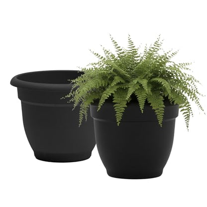 Bloem Ariana 12" Plastic Self-Watering Planter, Black, 2-Pack - color: Black, size: 12" (Pack of 2)