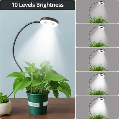 QWORK 3 Pack Ring Grow Lights for Indoor Plants, Full Spectrum LED with Timer