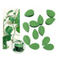Plant Climbing Wall Fixture Clips 40 Pcs, Garden Vegetable Plant Support Binding Clip Invisible Wall Vines, Self-Adhesive Clips Plant Vine Traction for Indoor Outdoor Decoration