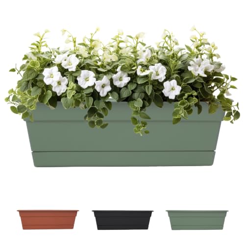 Bloem Dura Cotta 24" Plastic Window Box Planter with Saucer Tray: Indoor/Outdoor, for Windowsill, Ledge, & Tabletop, Basil - color: Basil, size: 24"