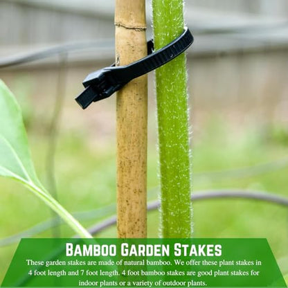 Farm Plastic Supply - Bamboo Garden Stakes - Bambo Sticks, Bamboo Plant Stakes for Outdoor Plants, Plant Support Stakes for Indoor Plants (4 Foot, 5) - style: 4 Foot