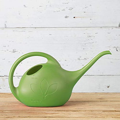 Novelty 30601 Indoor Watering Can, 1/2 Gallon, Green - color: Green