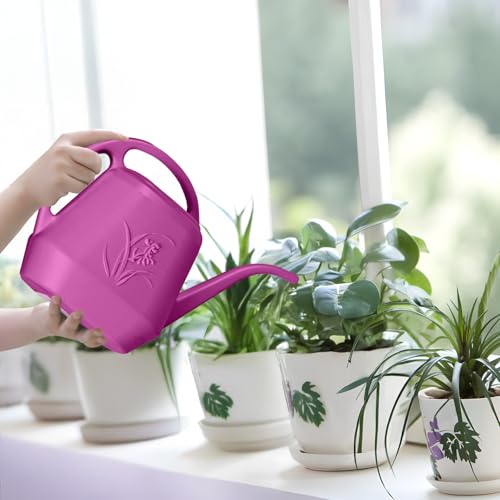 Plant Watering Can - 1/2 Gallon - Rose Red - color: Rose Red